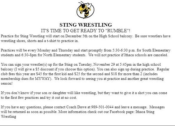 Sting wrestling information