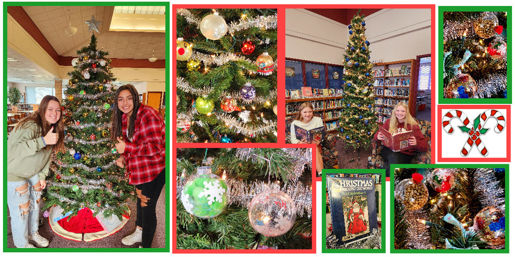 Decorated Christmas trees in a library.